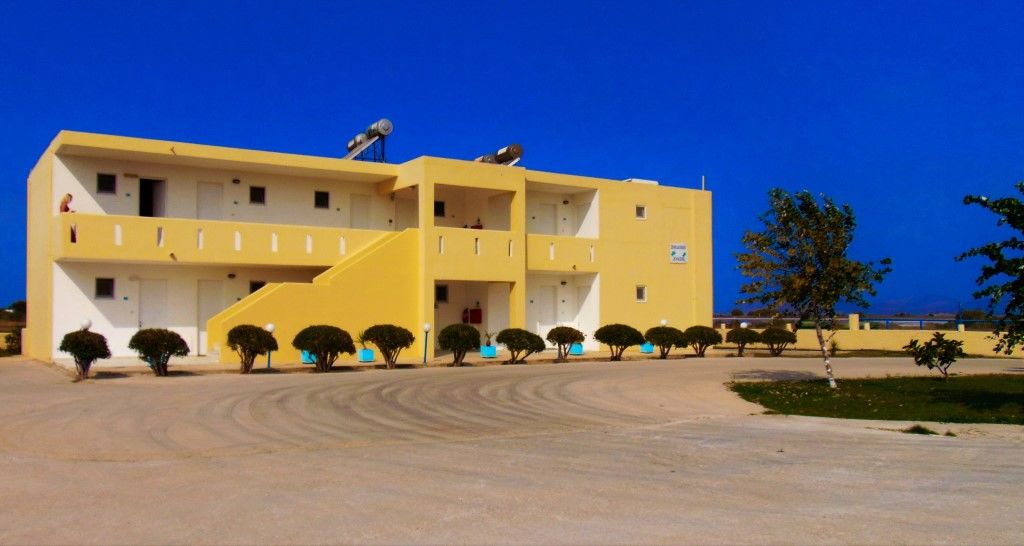 Oasis