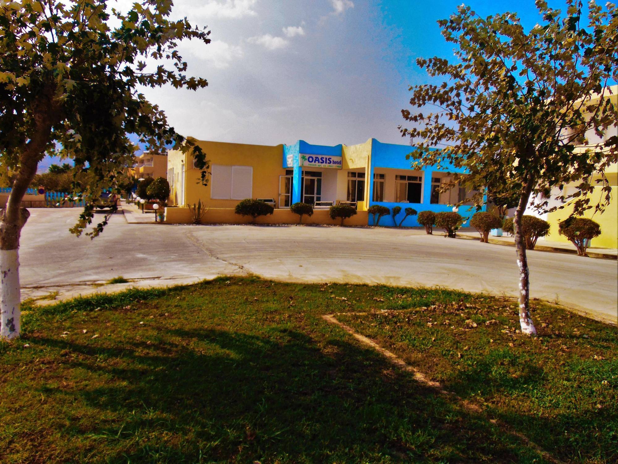 Oasis
